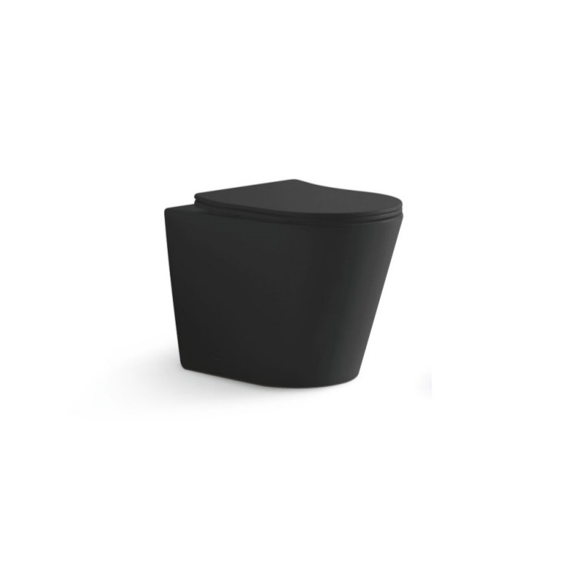 Floor-standing matte black ceramic frameless toilet with concealed water tank  3178MB