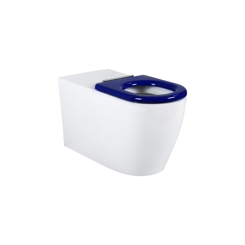 Modern Wall Hung Toilet for Elderly & Disabled  106